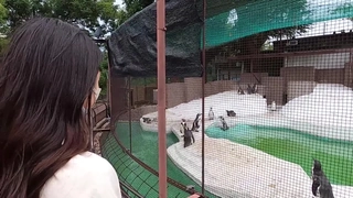 张靓颖 上位疯狂抽插，叫声淫荡