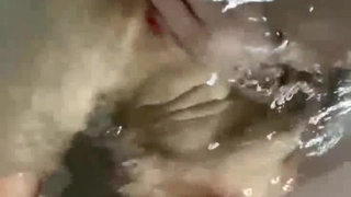 风管法兰模特娇妻黑丝蜜桃臀上位
